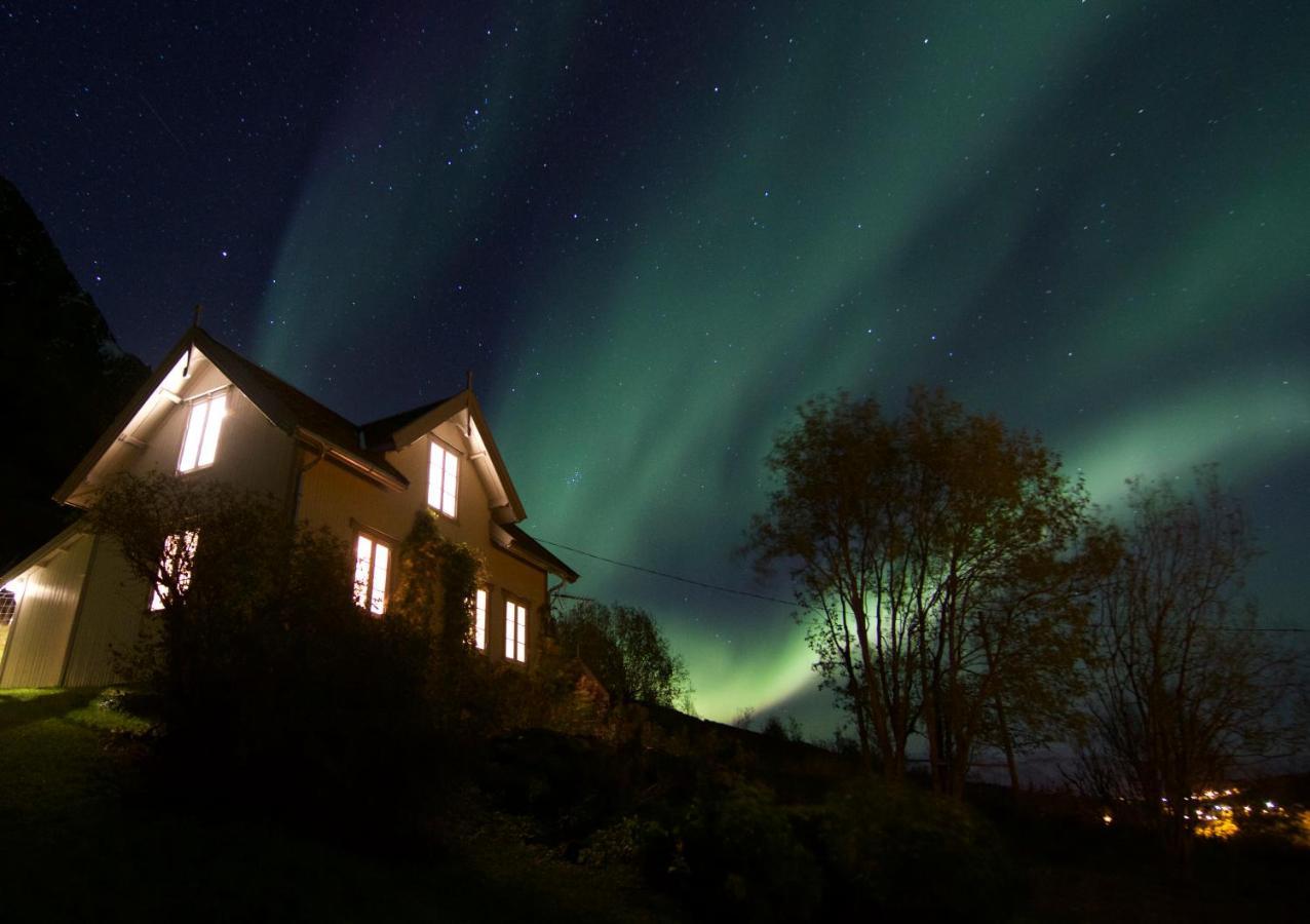 Kjosen Lodge, Lyngen. Lyngseidet Dış mekan fotoğraf