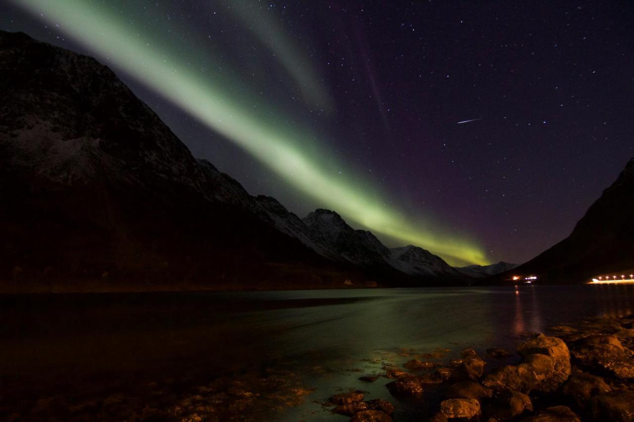 Kjosen Lodge, Lyngen. Lyngseidet Dış mekan fotoğraf
